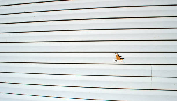 Best Storm Damage Siding Repair  in North Shore, CA
